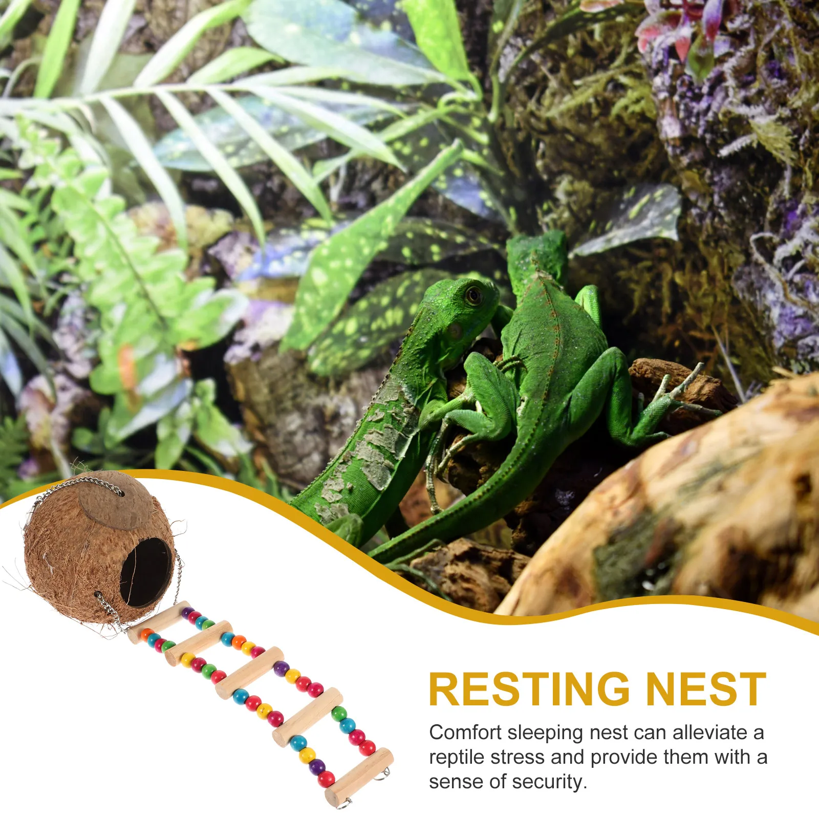 

Coconut Shell House Hanging Nest With Ladder Decorative Pet Bed Resting Spot For Reptiles Lightweight Easy Storage Reptile