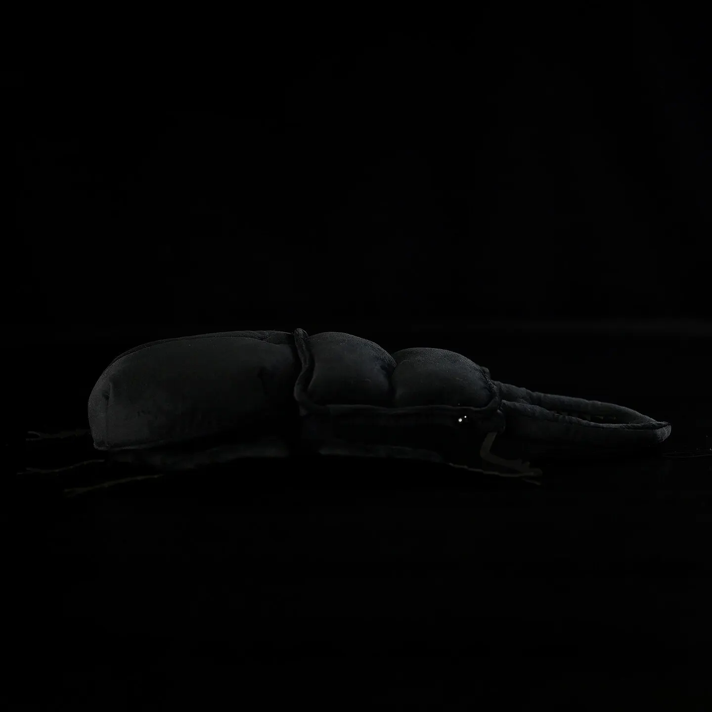 Serrognathus titanus, Dorcus titanus platymelus,Beetle, Knickknack,nicknack,Small ornaments and miniature models