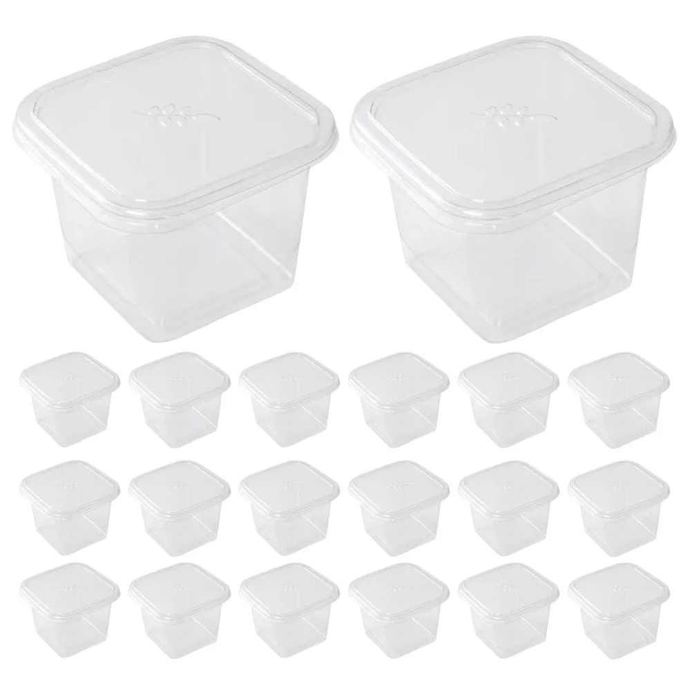 50Pcs Clear Cake Containers Mini Dessert Boxes Cupcake Biscuit Storage Reusable Sturdy Party Favor Packaging Mini Cake Boxes