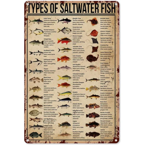 Vintage Fishing Metal Sign Types Of Saltwater Fish Knowledge Tin Sign Plaque sign sign sign