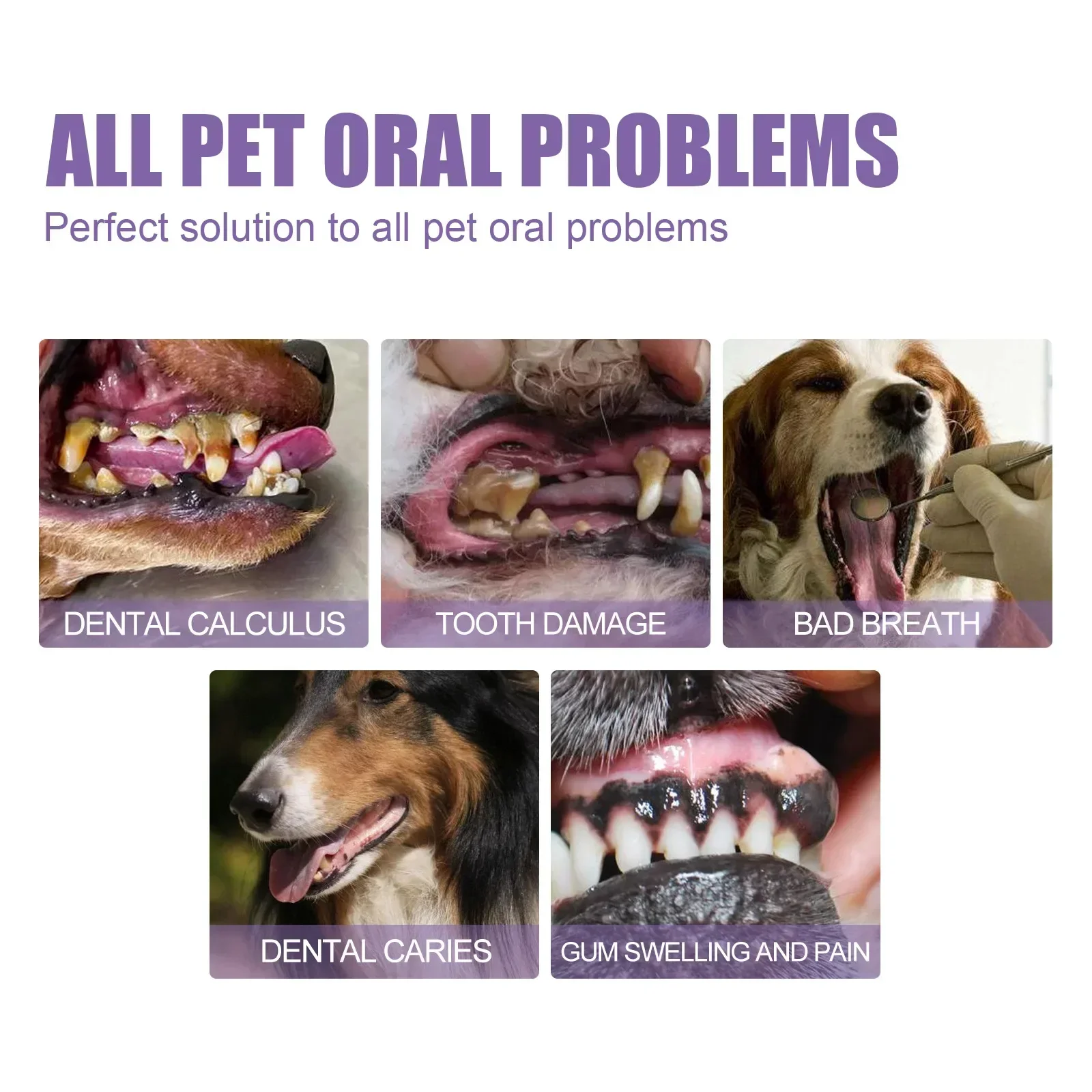 Pet Dog Toothbrush for Dogs Cats Deep Oral Cleansing Teeth Stain Remover Bad Breath Eliminator Plaque Control Dental Care Tool