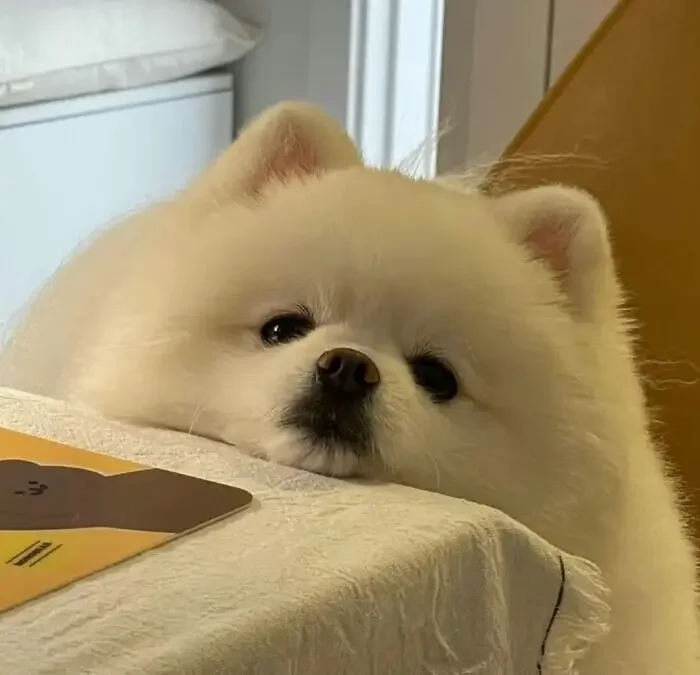 crystal-csu-serum-ultra-csl-10h-paint-protection-9-year-guarantee-glossy-prolonging-the-paintworks-perfect-finish