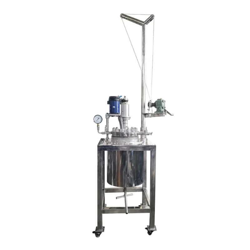 Reattore di pressione da laboratorio in acciaio inossidabile da 5L 10L Reattore per recipiente di sollevamento ad alta pressione Reattore di idrogenoazione catalitica