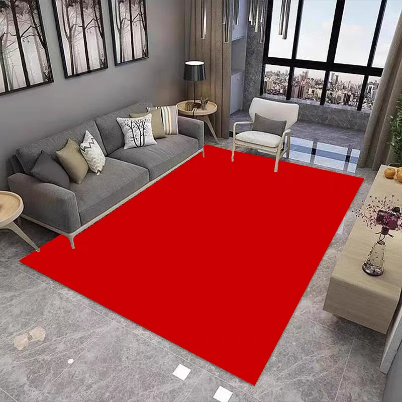 Simple Solid Color Living Room Carpet Coffee Table Carpet Internet Celebrity Live Broadcast Room Orange Carpet Store Photo Mat