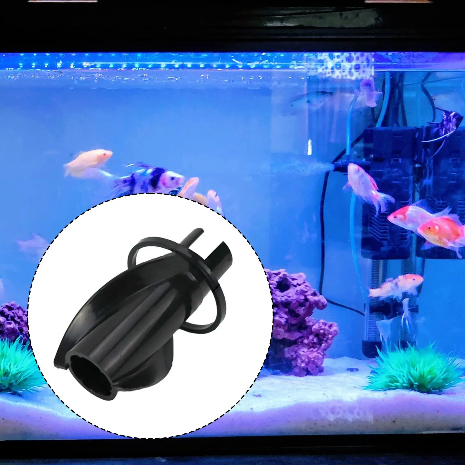 

Шумопоглощающий держатель для аквариума: высокопроизводительный, простой в установке, для морских аквариумов, снижает уровень шума