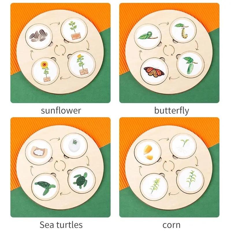 Lebenszyklusbrett, Montessori-Set, Biologie, wissenschaftliche Bildung für Kinder, sensorisches Tablett, Tierfigur, Lebenszyklus, Sortierung von Weihnachtsgeschenken