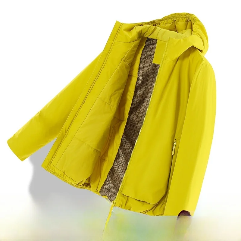

2025 New Autumn Winter aphene Outdoor Sports Commuting Windproof Waterproof Hooded Cotton Jaet Men's Faion Urban Sle