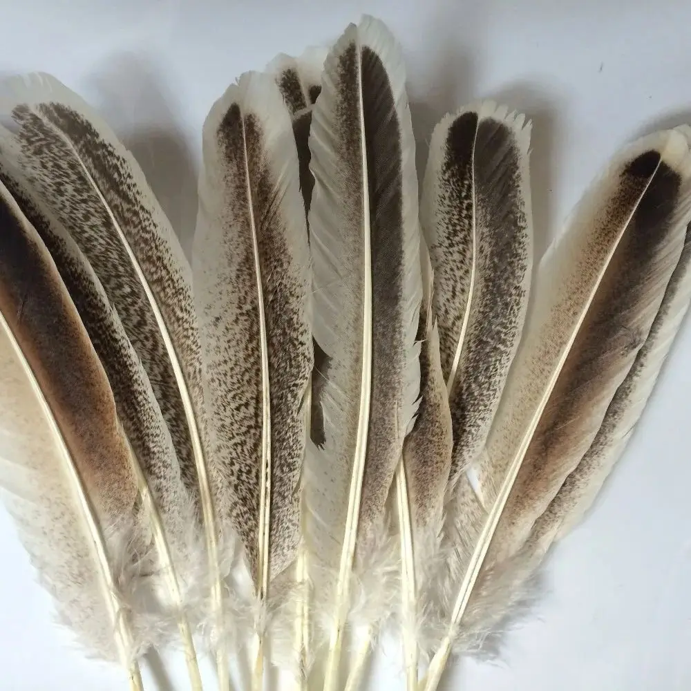 

10PCS DIY natural turkey feathers 23-30 cm 9-12 inches for all types of decorative Indian