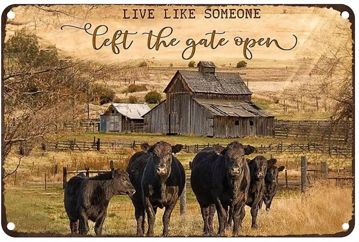 Live Like Someone Left The Gate Open Black Angus Cow Vintage Metal tin Sign Art Plaque Wall Decor Look Funny Gifts for Home Kitc