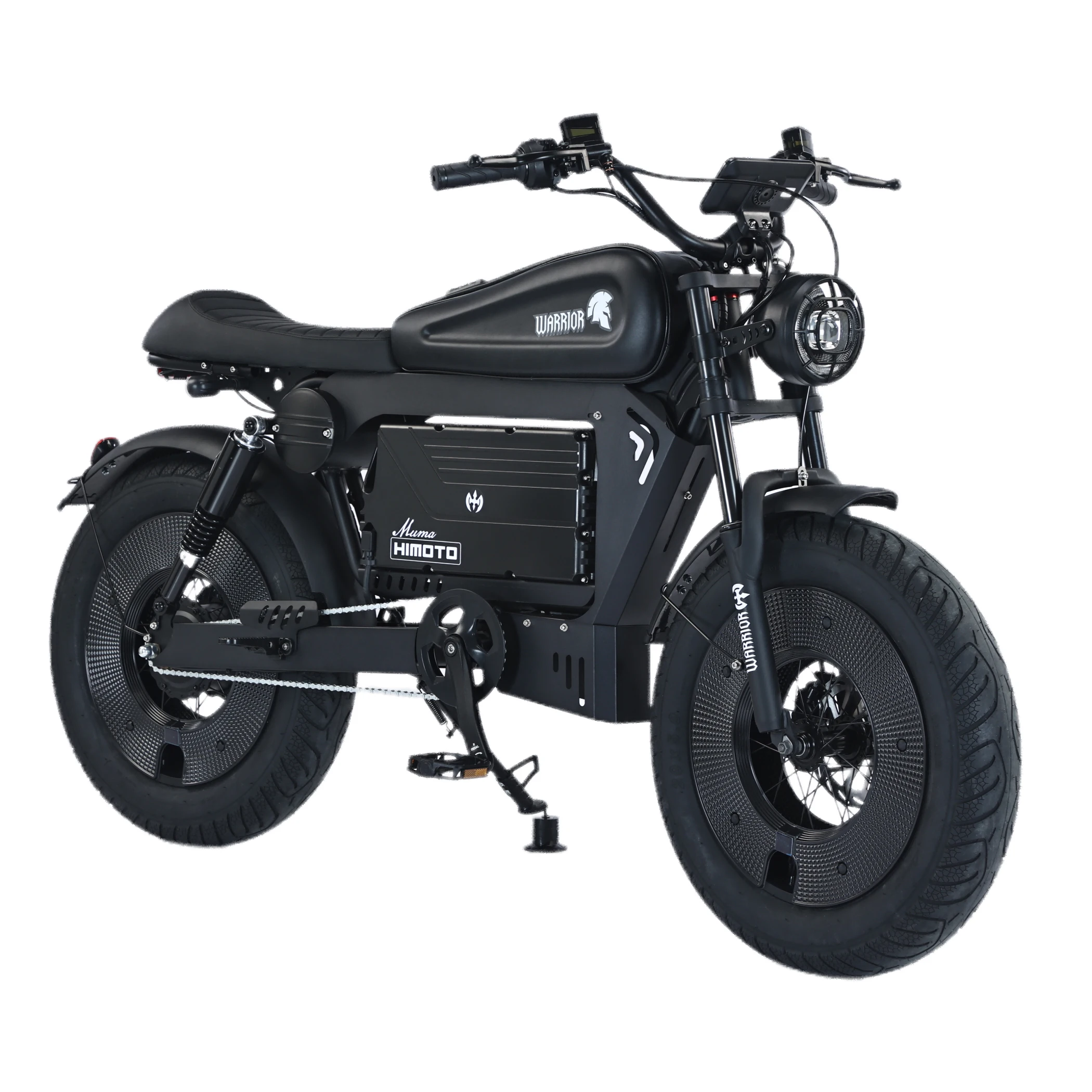 

STLF Fashion Factory Wholesale Price Fast Cheap Black Warrior Fat Electric Mountain Bike Electric Bicycle 48V 2 Wheel