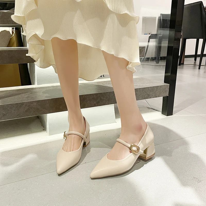 Pointed Toe Sexy Women High Heels Shoes 2024 New Fashion Chunky Shoes for Women Dress Brand Party Elegant Pumps Female Zapatos