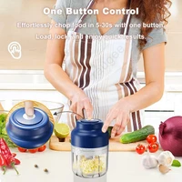 Electric Food Chopper 320ml Electric Garlic Chopper USB Rechargeable Meat Grinder Garlic Press Portable Blender 3