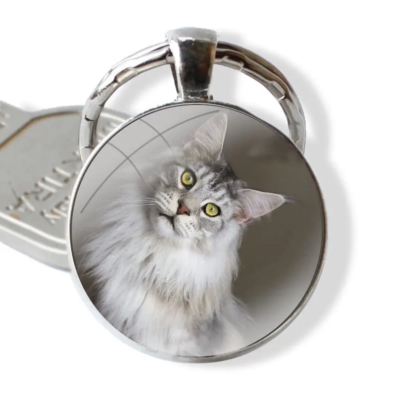 pet maine coon cat Keychain Handmade Glass Cabochon Key Ring Holder Pendant Key Chains