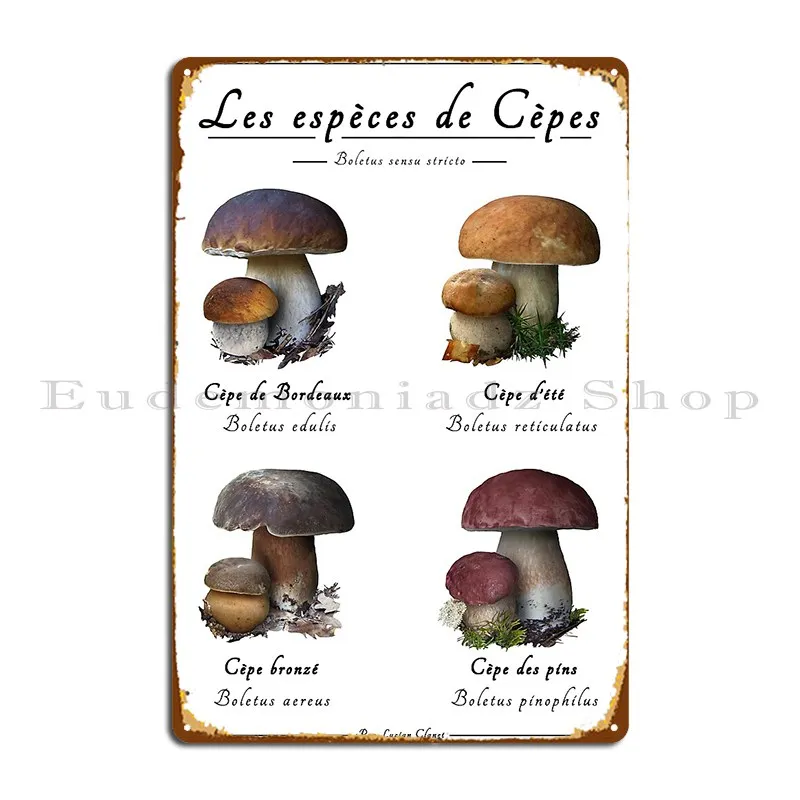 The Species Of Ceps The Four Noble Boletus Bolets Europe Metal Sign Wall Mural Wall Cave Create Garage Rusty Tin Sign Poster