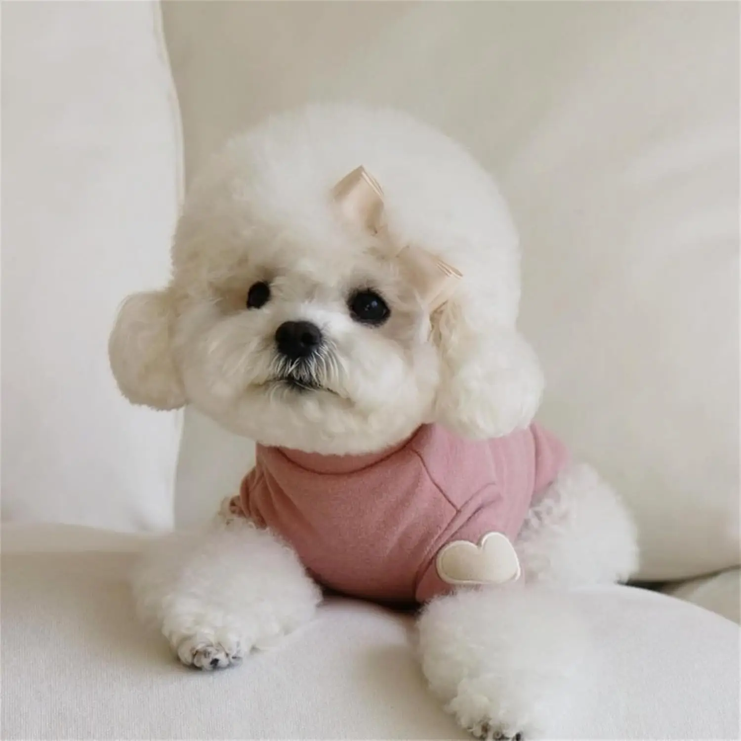 Heart Print Soft Warm Sweatshirt All Seasons Small Medium Dog Cat Outfit
