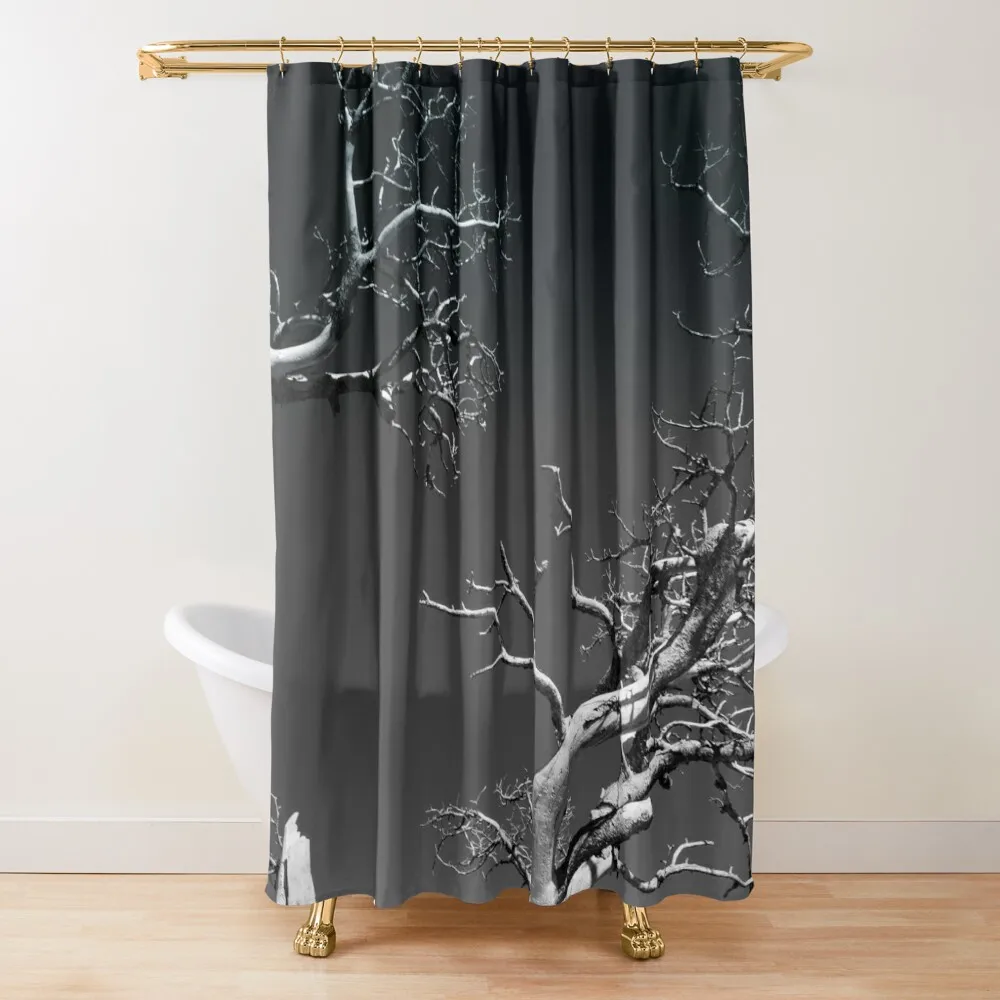 

Beautiful Black and White Trees Shower Curtain Luxury Bathroom Shower In The Bathroom Bathroom Deco Bathtub Curtain
