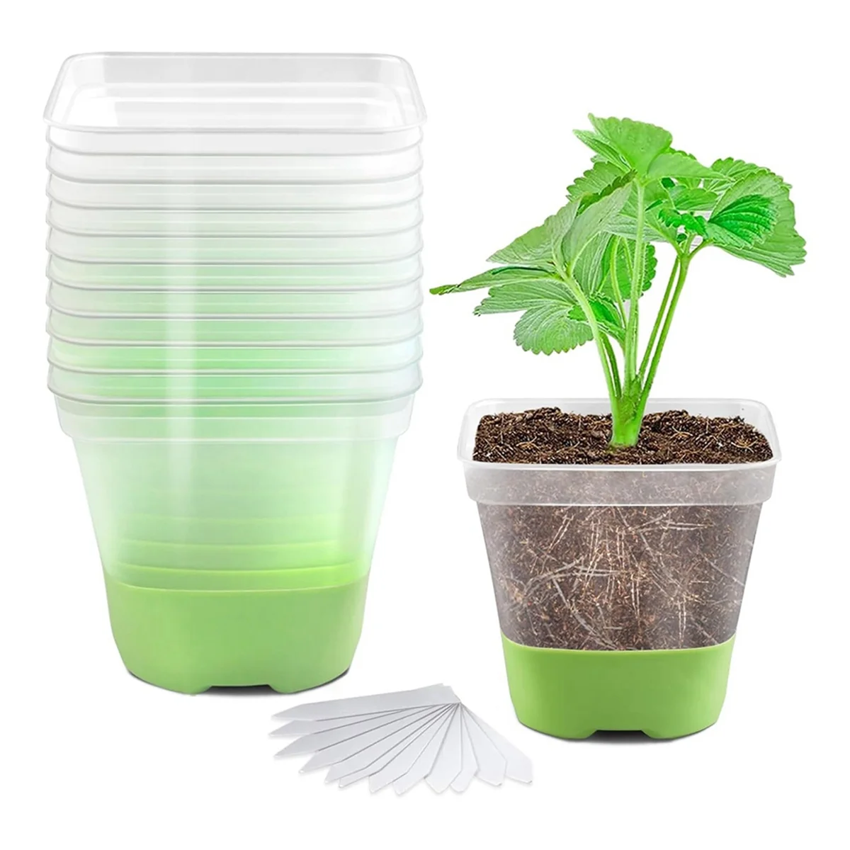 12 Packs 3 Inch Square Plastic Nursery Pots, Clear Plant Pot with Soft Silicone Base for Easy Transplant, Flower Pots