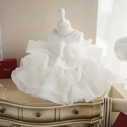 Abiti da ragazza di fiore per bambini Neonato 1° compleanno Costume da principessa per bambini Abiti da ballo per neonati Festa di battesimo Abito da sposa soffice