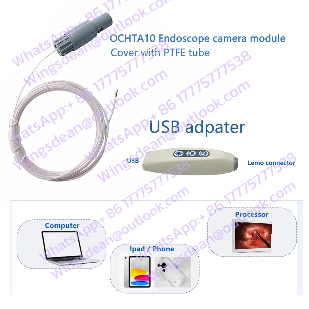 Durable Waterproof Mini 1.6mm 400*400 Resolution Medical Flexible USB Camera Module Ojos OCHTA10 30 FPS PTFE Tube