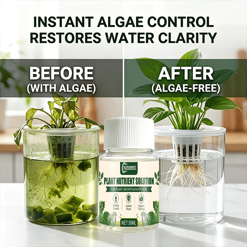 Hydroponic Plant Nutrient Solution for Water Quality Improvement Root Protection Growth Promotion Extended Viewing Time