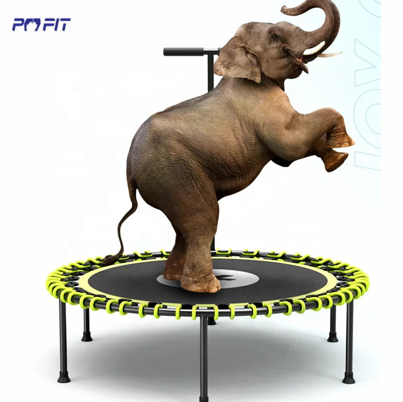 Robustes 150 kg schweres Trampolin für Erwachsene, Fitnessstudio, Fitness, Training, Sprungübung, 55-Zoll-Trampoline