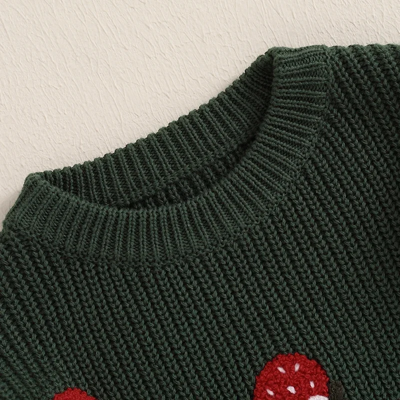 Pull à Manches sulfet Col Ras du Cou pour Nouveau-né, Vêtement Chaud en Tricot avec Broderie, pour Fille et Garçon, pour Automne et Hiver