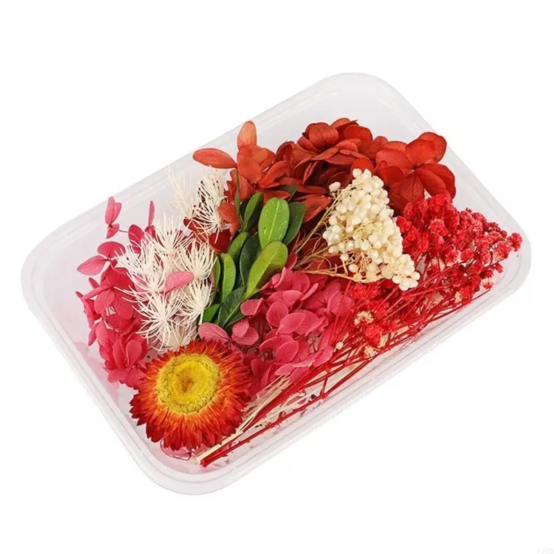 F62D delicate gedroogde bloemen materiaal natuurlijke handwerk bruiloft ornament 10colors