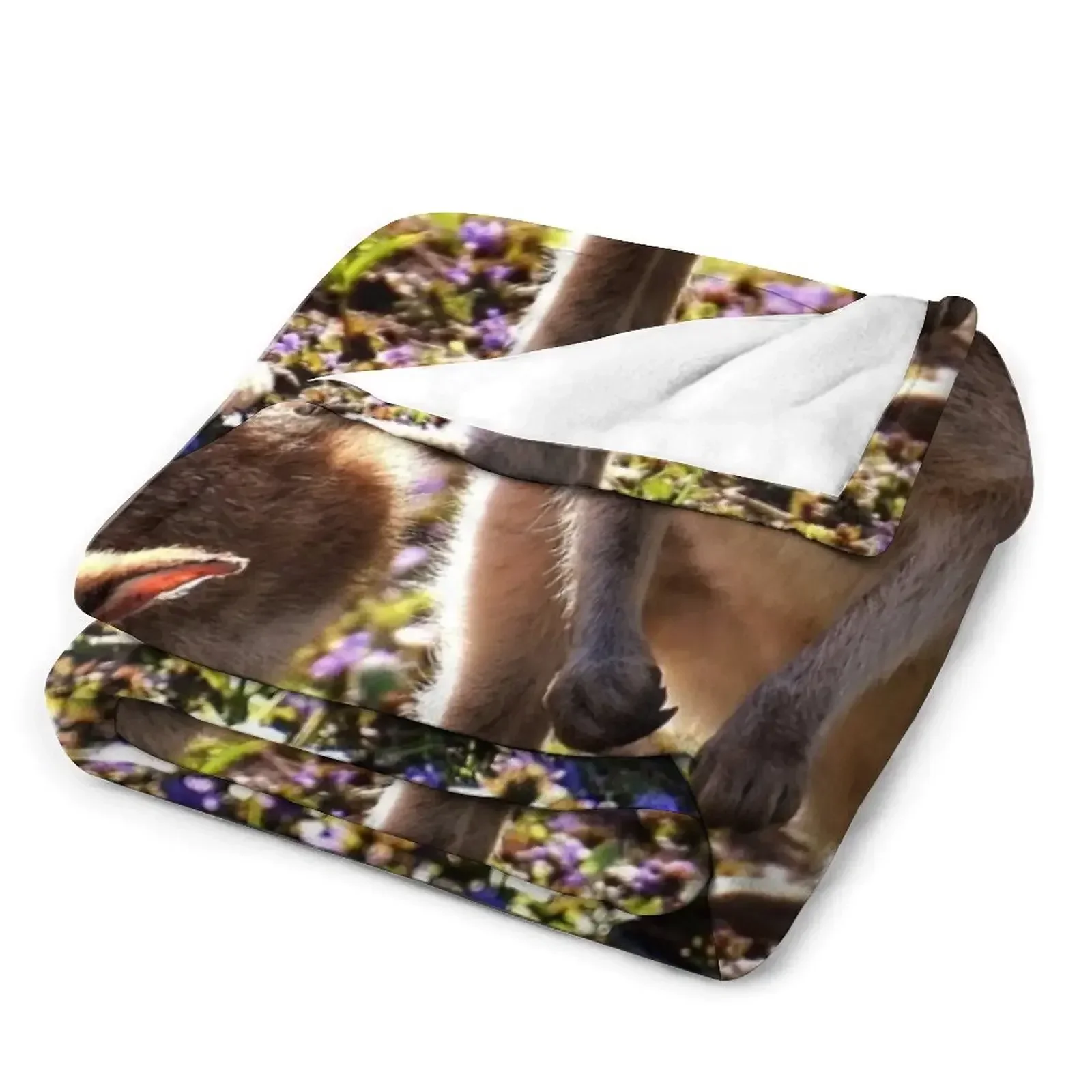 Kangaroo Throw Blanket Winter beds Stuffeds Blankets