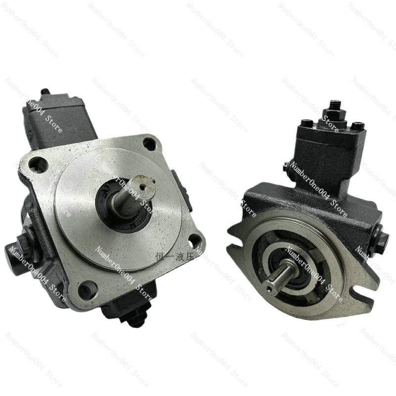 

VCM-SF-20D/20C/20B/12D-10/30 CML Oil Pump VCM-SF-30D/40C-20