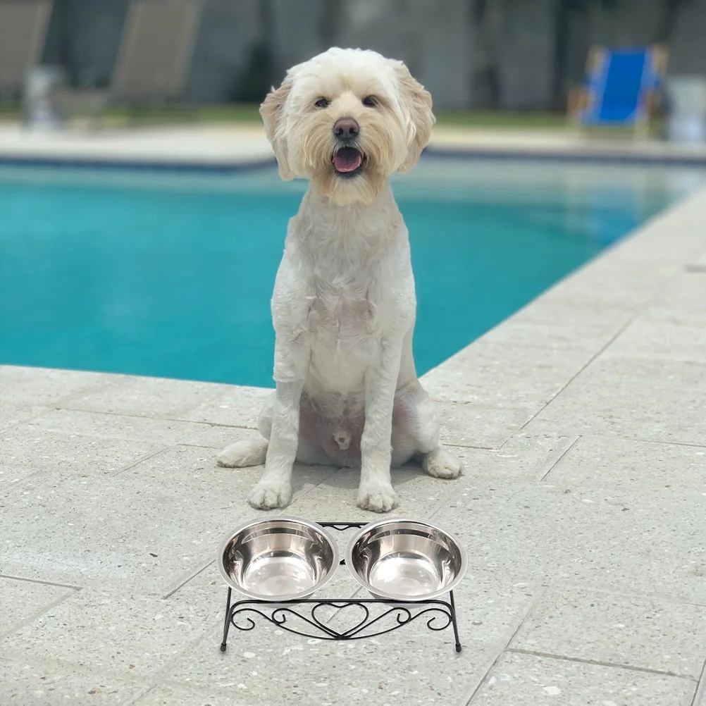 

1Set Elevated Stainless Steel Pet Bowl Raised Feeder with Iron Stand Dog Cat Feeding Dish Dog Bowl Pet Dish Puppy Feeder