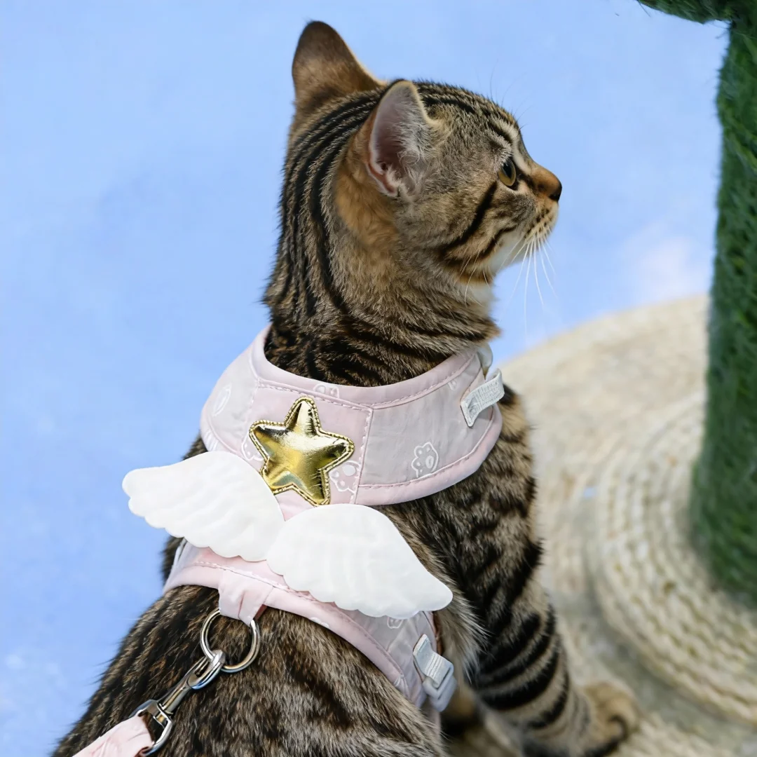 Thumbnail 2 - #39 Best Puppy Harnesses to Buy In 2026