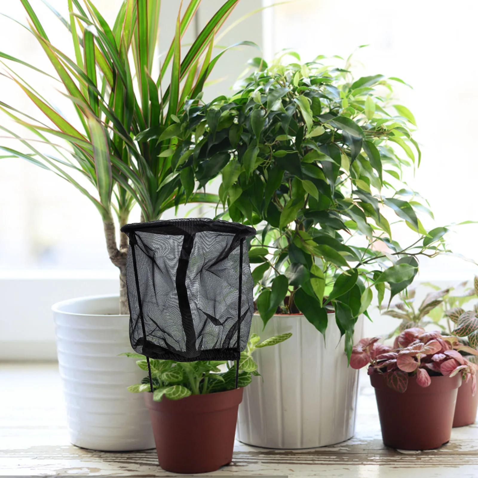 

Enclosure Insect Mini Polyester Mesh Protective Screens Premium Quality Durable Breathable For Gardening Protective Screen