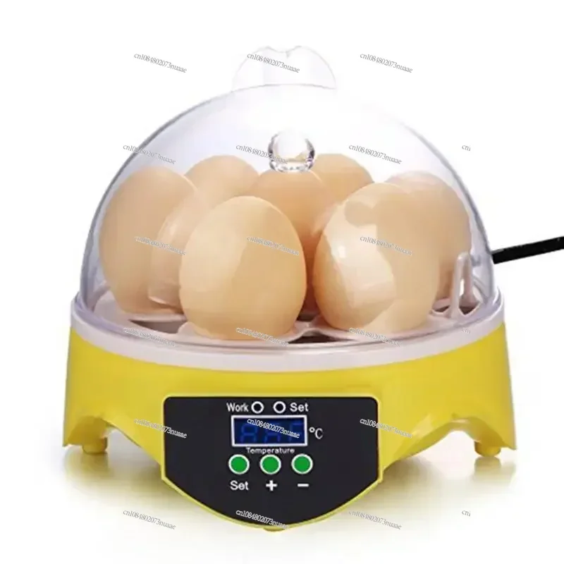 

Farm Hatchery Egg Incubator Chicken Duck Bird Pigeon Hatcher Mini 7 Egg Incubator Poultry Incubator Brooder Digital Temperature