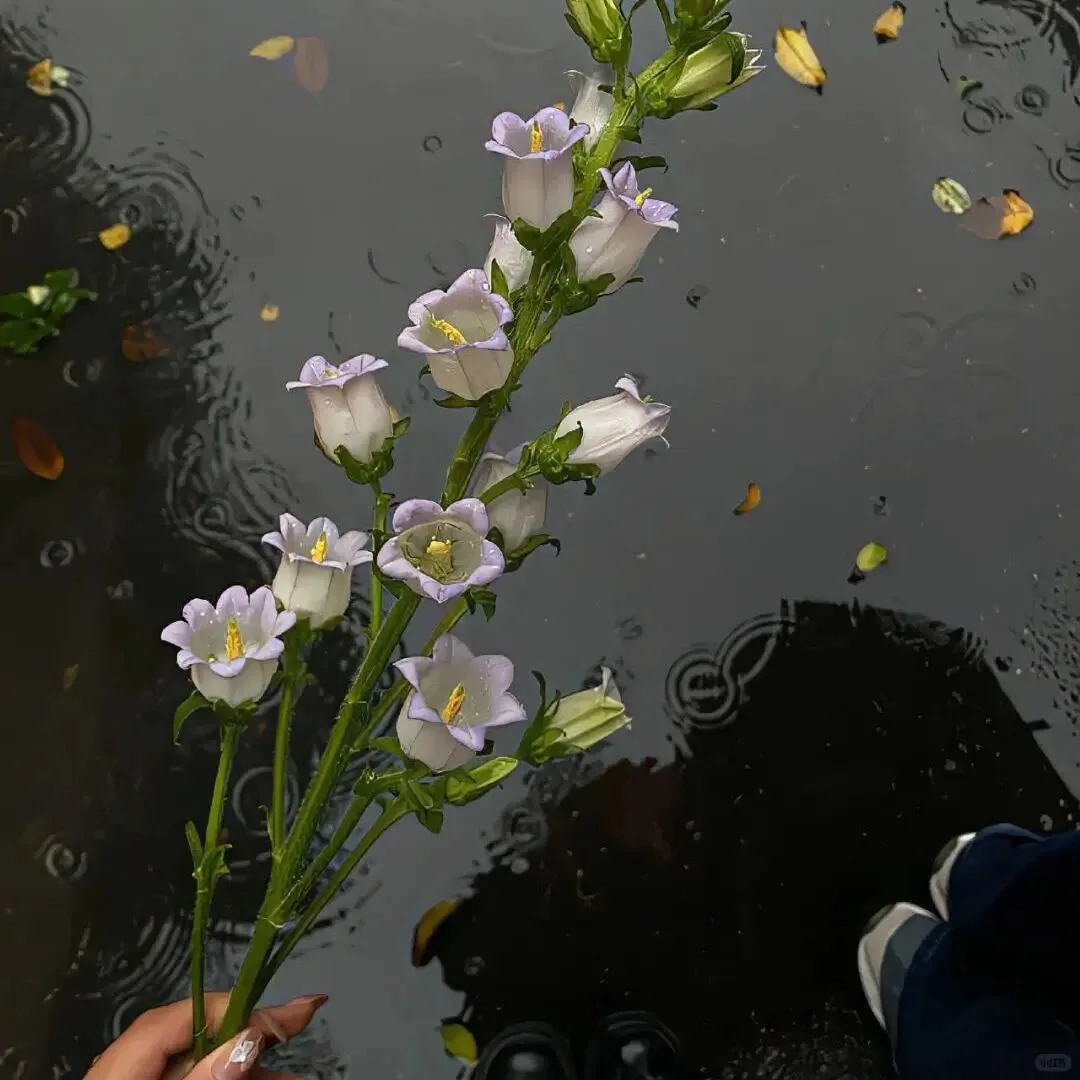 Ice Painless Alexandrite Laser Permanent Hair Remo 755nm 808nm 1064nm Diode Laser Hair Remo Machine Epilation Definitive