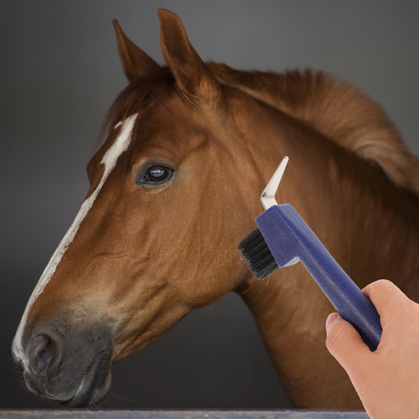 

Hoof Stainless Steel Durable Brush Soft Grip Handle Cleaning Tools Horse Grooming Brushes Portable Hoof