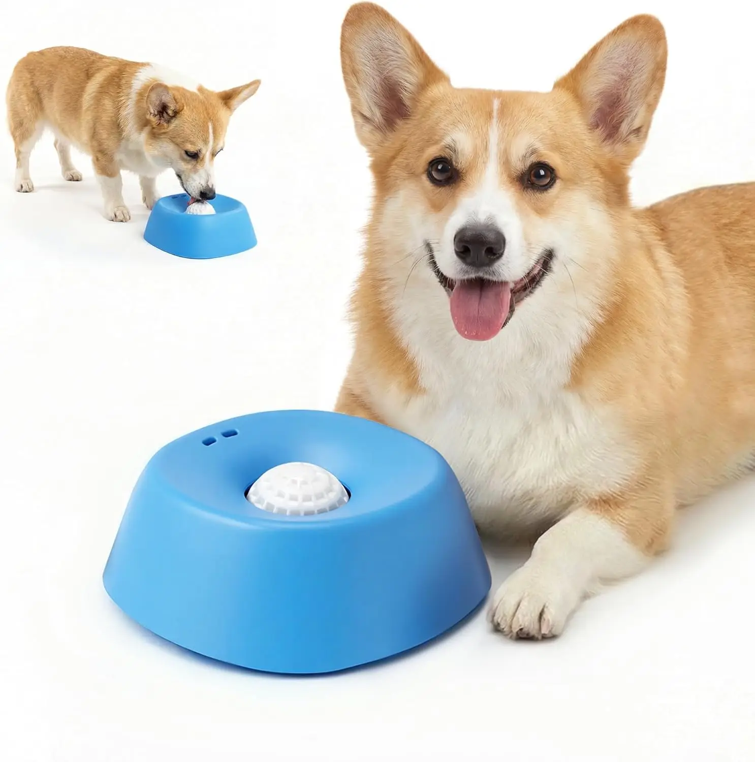 #25 Compare Slow Puppy Feeder Bowls Before You Buy