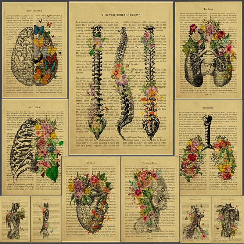 Human Body Parts Flower Anatomy Poster Organ Vertebral Column/Heart Home Medical Dental Art Wall Decor Painting Vintage Prints