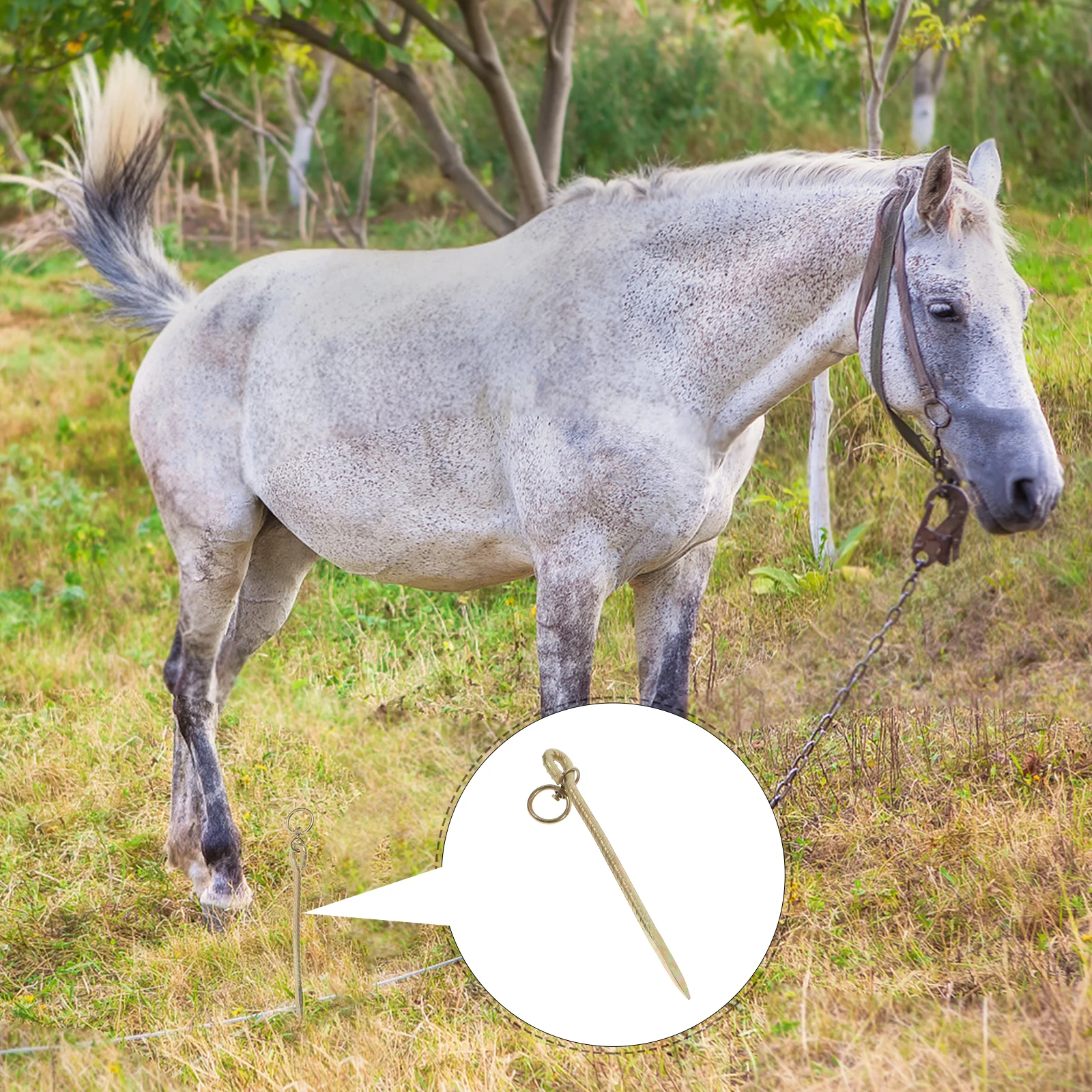 

Galvanized Ground Stakes Anchors for Tents Canopies Dogs Horses Cattle Yard Lawn Stakes Spike Pegs Portable HighStrength