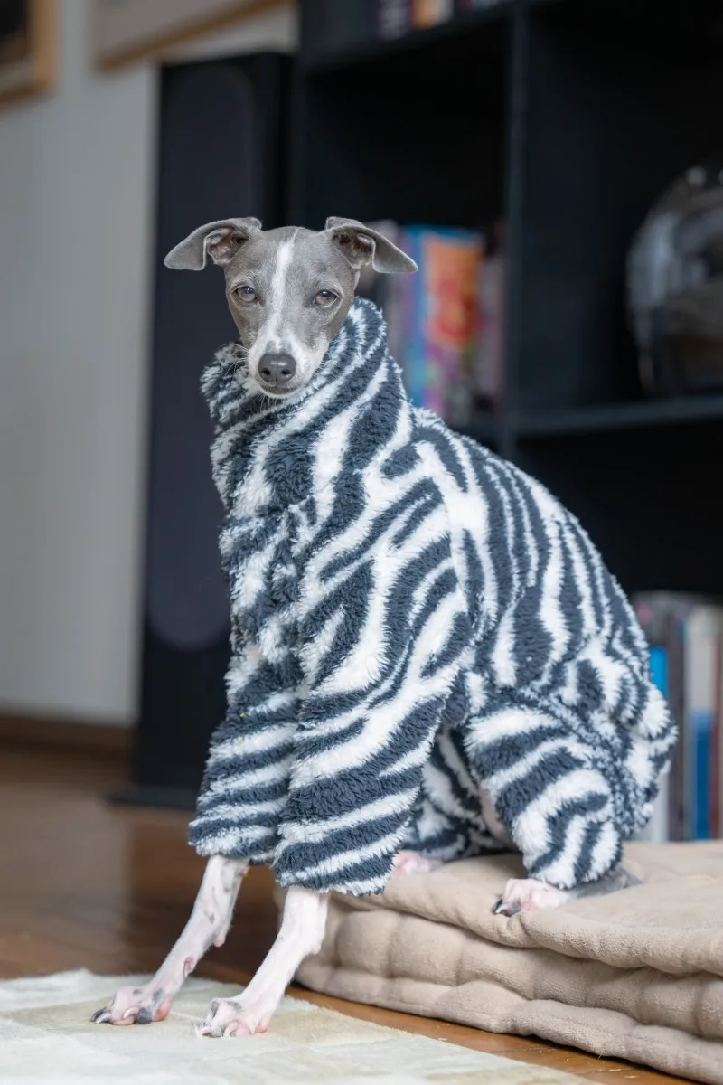 new zebra double-sided velvet puppy clothes warm and soft medium-sized dog clothes suitable for small greyhounds/whippets