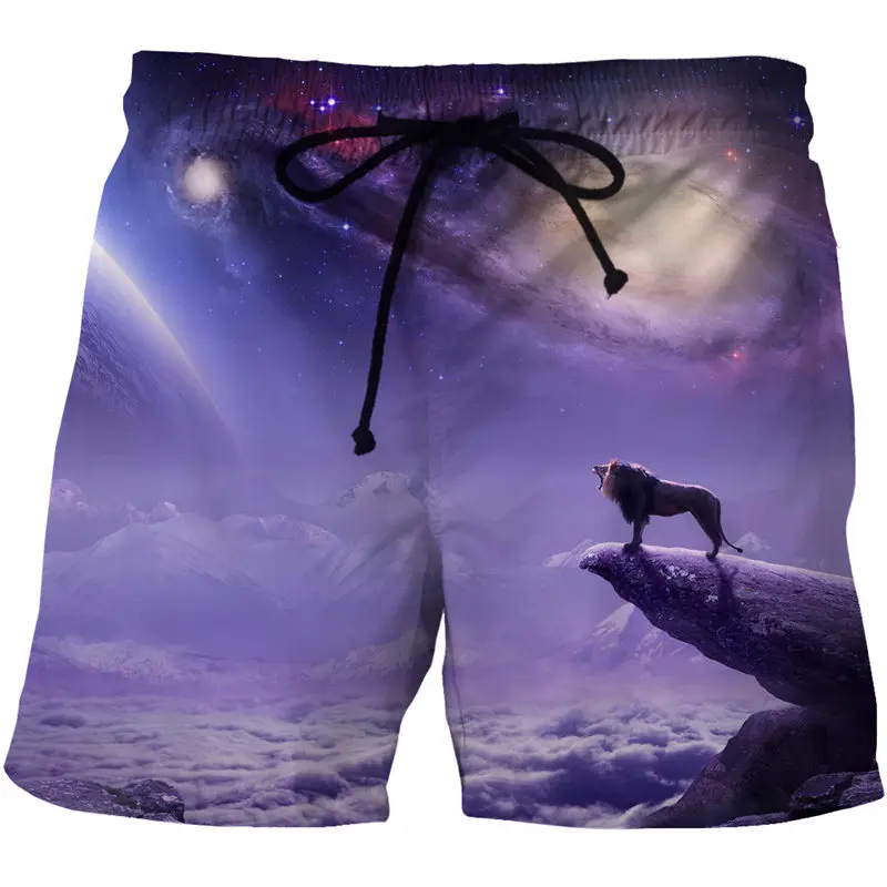 Men\'s Swimwear Fire Tiger/Lion 3d Surfing Board Short Kids Beach Shorts Men Trunks Masculina Swimsuit Sports Pants Briefs Boy