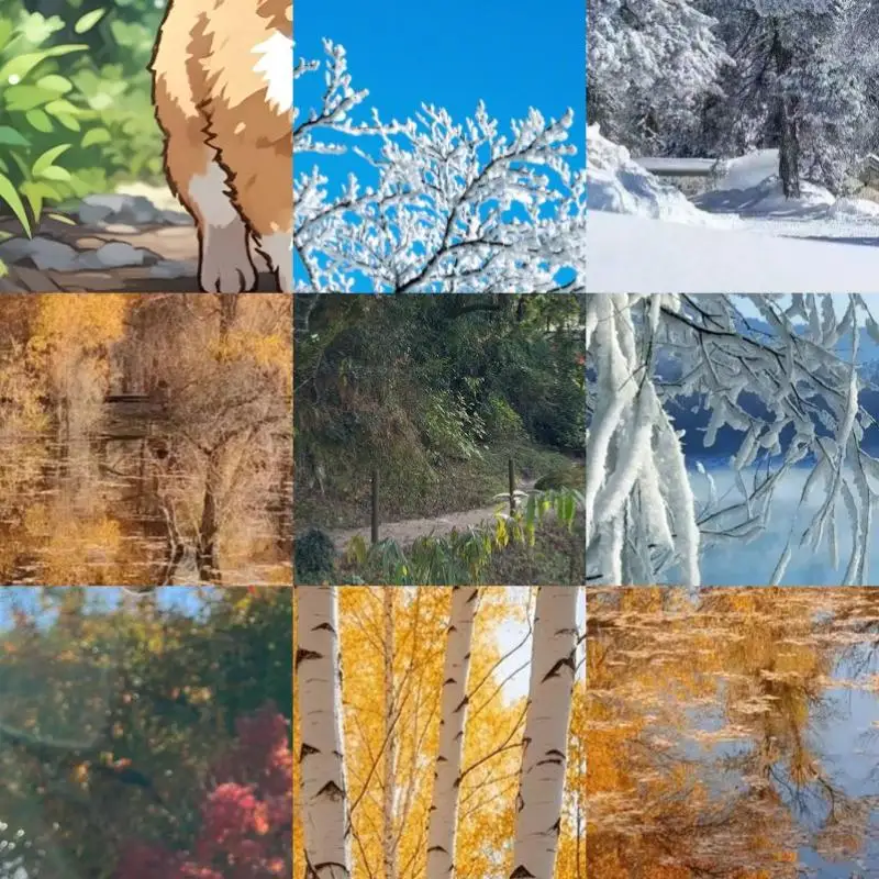 

Защитные кольца для пропеллеров дронов DJI Mini SE/Mini 2/Mavic Mini, аксессуары для защиты от столкновений