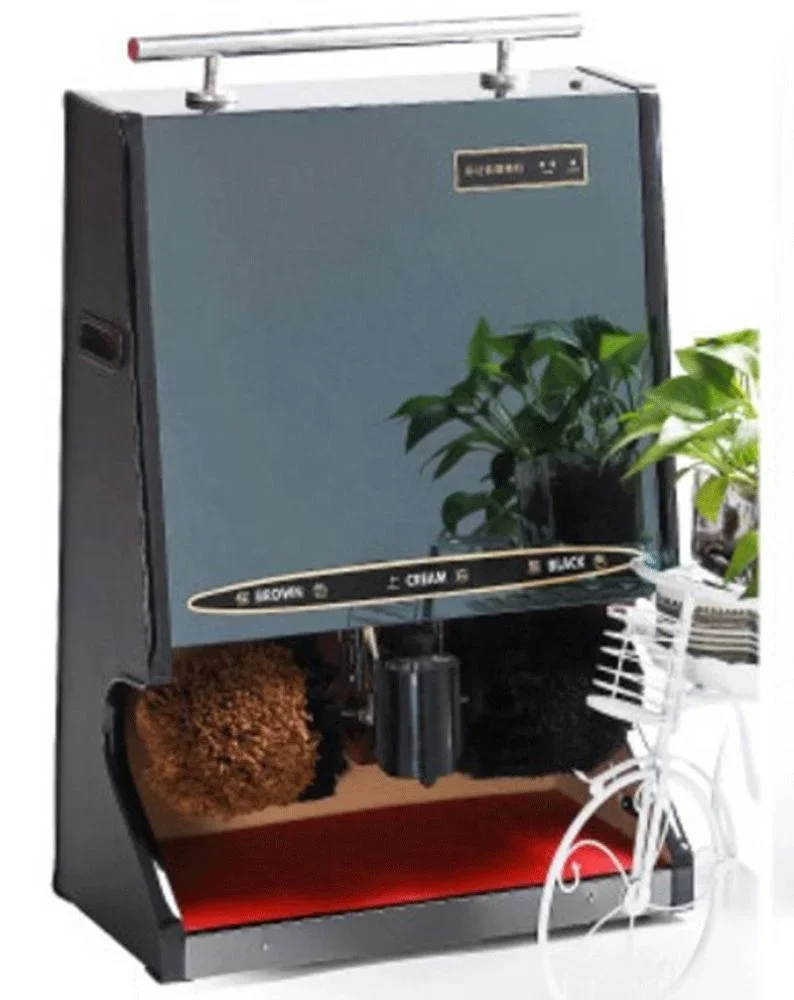 Motore a onde silenziose a basso rumore Spazzola di alta qualità motori intermitti non bruciati Lucidatrice per scarpe a induzione a infrarossi per la casa