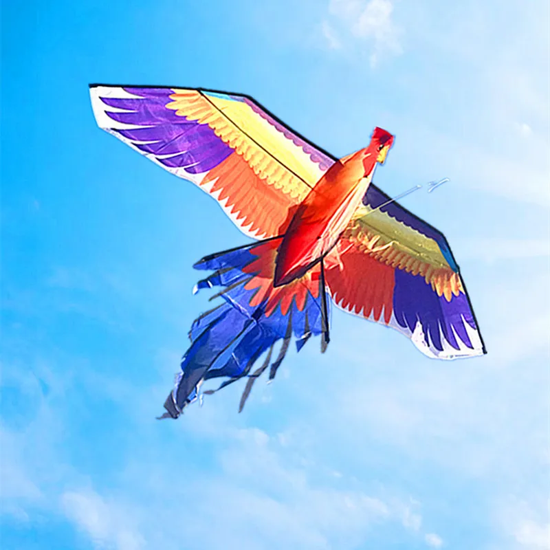 Cock Kites Outdoor Play for Adults, Ultra Large Basta Games, Fun Show, Frete Grátis