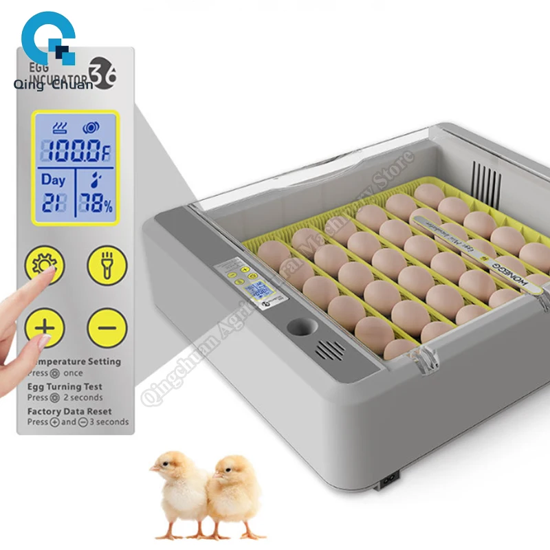 

Home Incubator Raising Rutin Chickens Egg Incubation Device Poultry Farming 36 Eggs Intelligent Incubator
