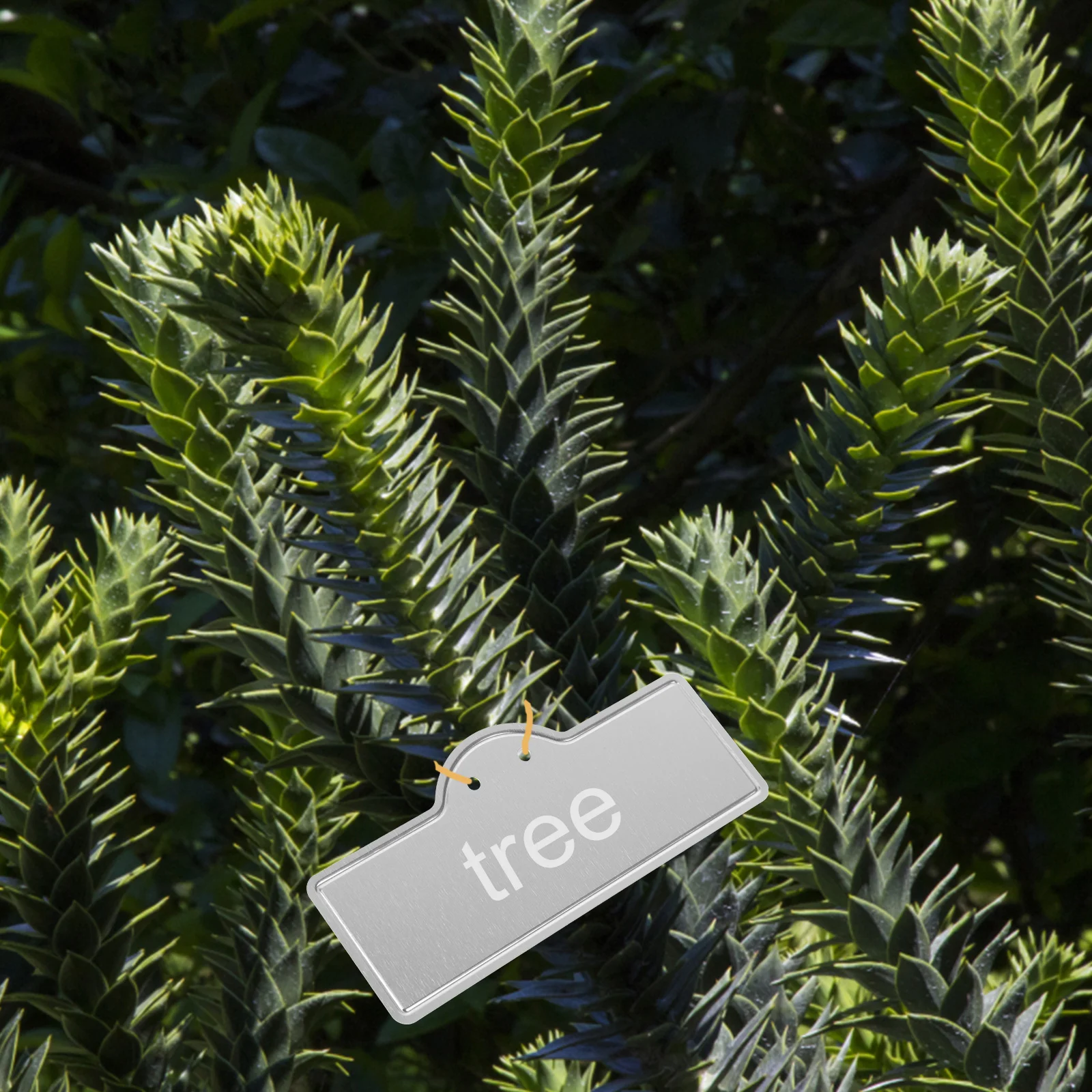 

20pcs Aluminum Plant Labels Reusable Metal Plant Tags Tree Tags Plant Pot Label Tags aluminum plant tags