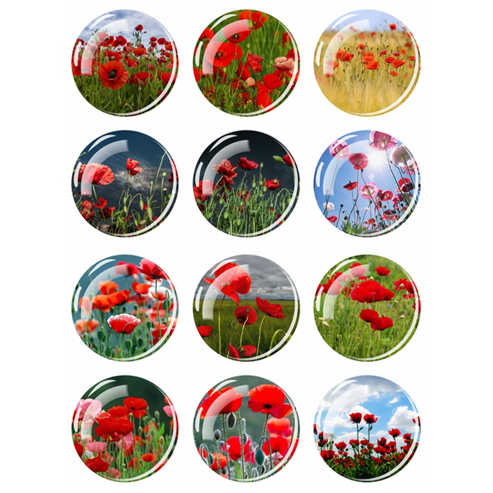 

Poppy Stickers Flower Refrigerator Magnets Holder Print Painting Glass Round Home Decore Fridge Magnet Plant Magnetic Sticker