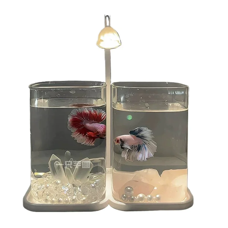 Douyu starfish jellyfish special fish tank ecological glass double tank office desktop bedroom atmosphere night light decoration