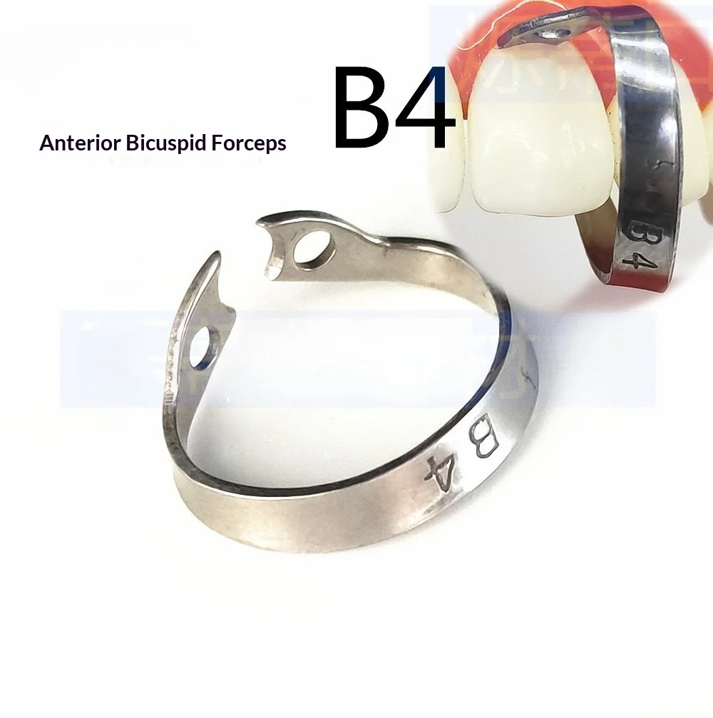 Laboratory Rubber Barrier Clip Rubber Stamp Anterior Teeth Bicuspid B4 #Anterior Teeths Clip Laboratory Consumables Tool