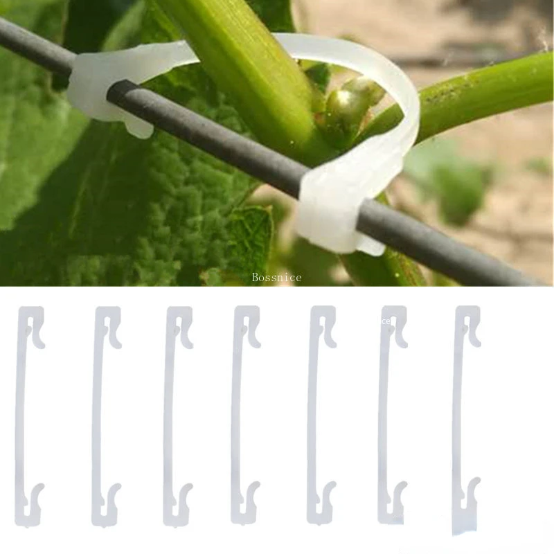 50Pcs Garden Plants Vines Fixed Clips Tied Buckles Lashing Hook for Kiwi Grape Cucumber Tomato Stems Fastener Gadgets Grafting