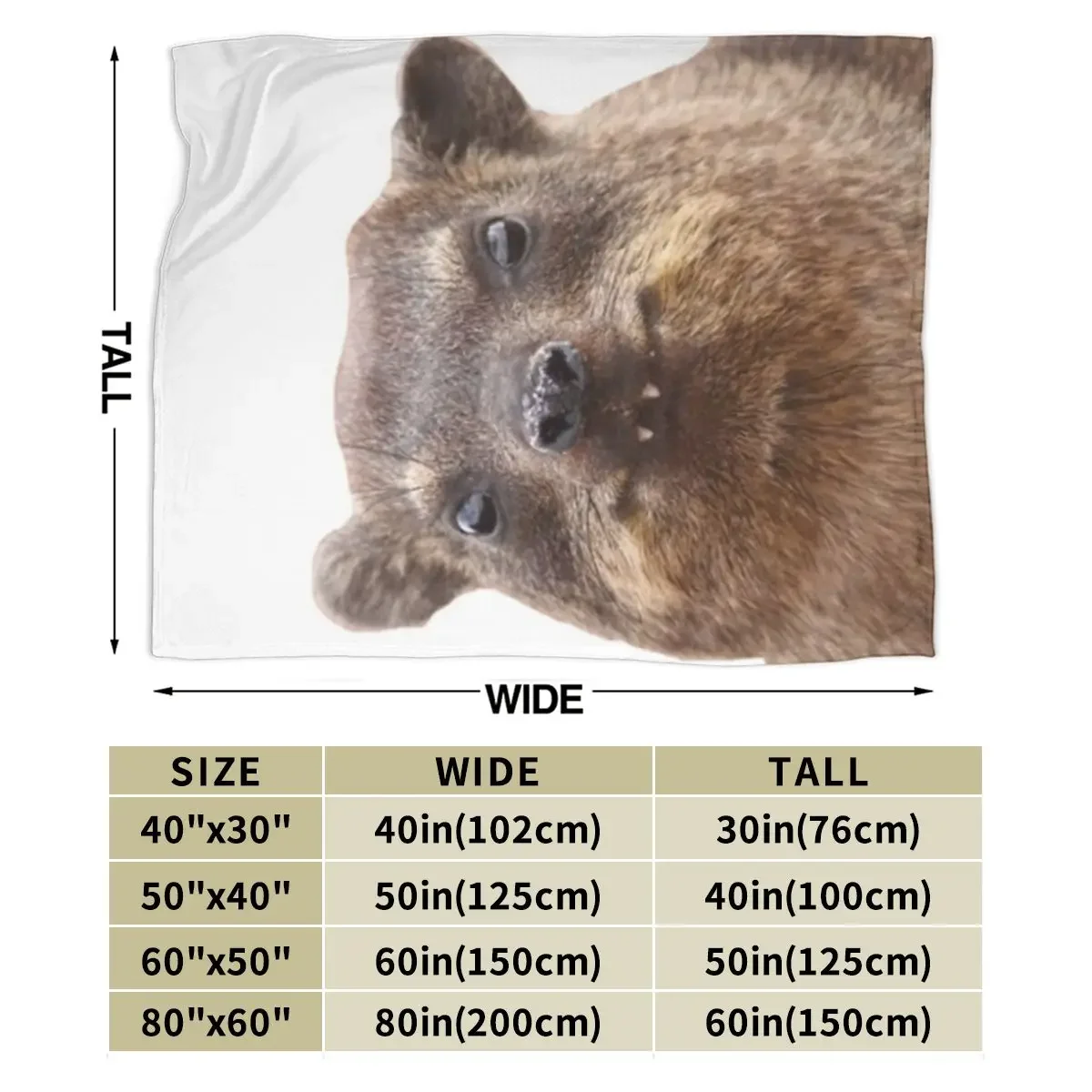 Hyrax An Ultra-Soft Micro Fleece Blanket